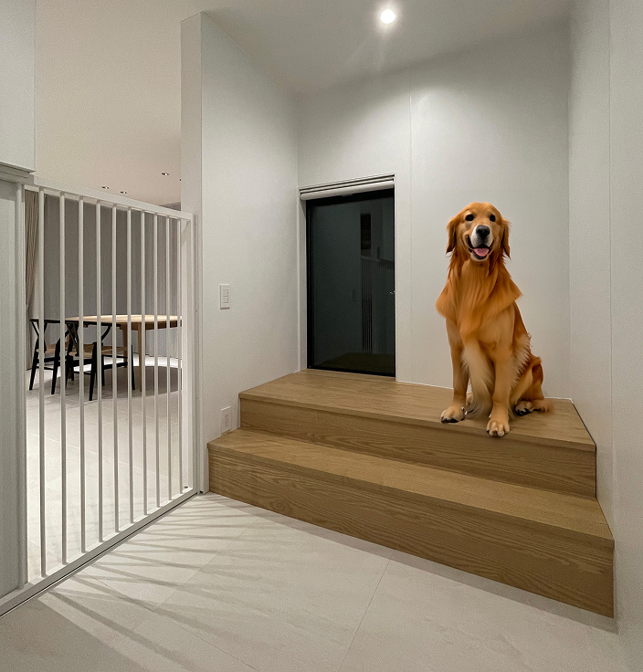 犬と、暮らす家