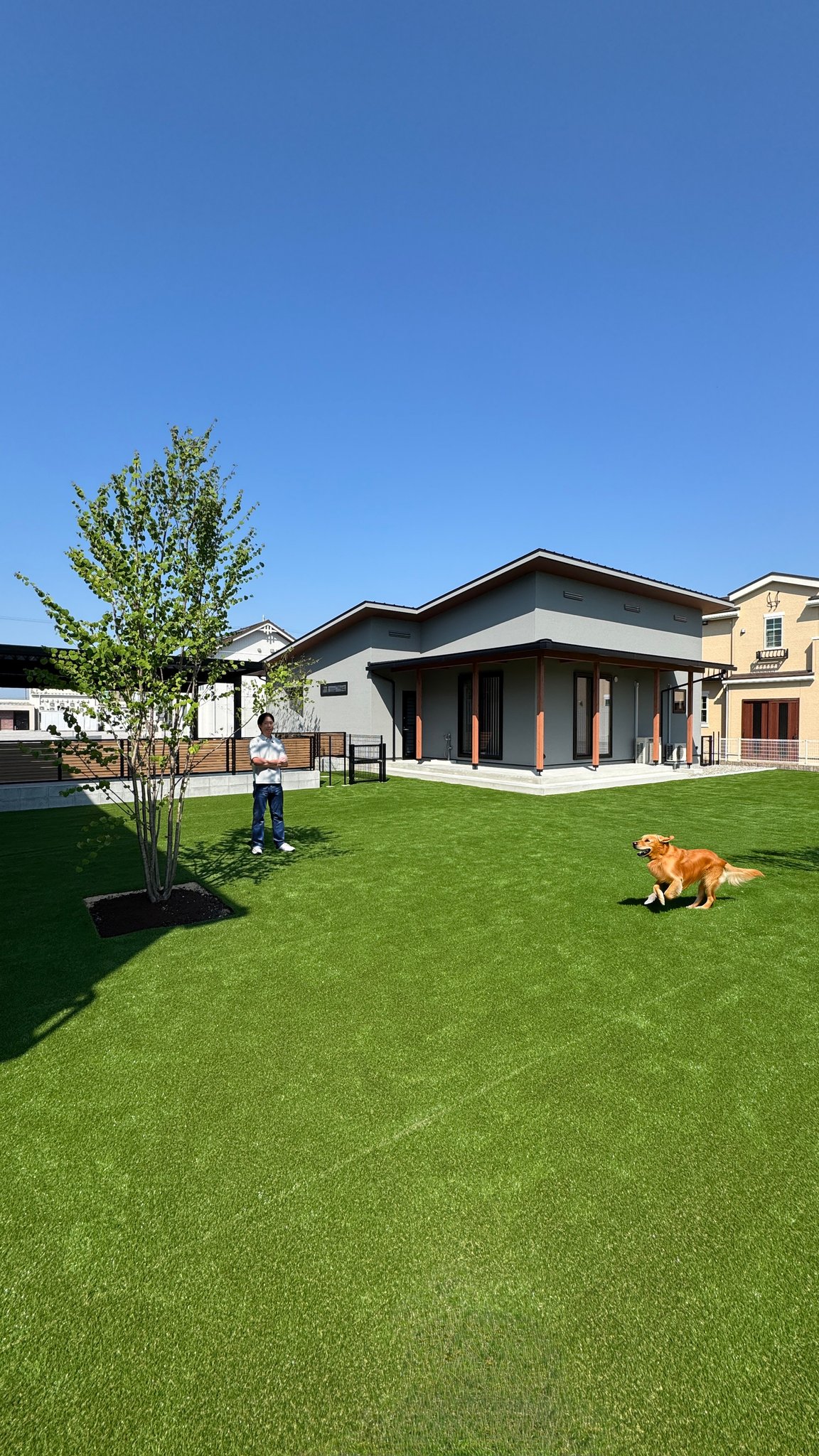 愛犬との快適で豊かな暮らしをご希望の方は愛犬家住宅コーディネーターが在籍する株式会社ニコタスのご相談ください。